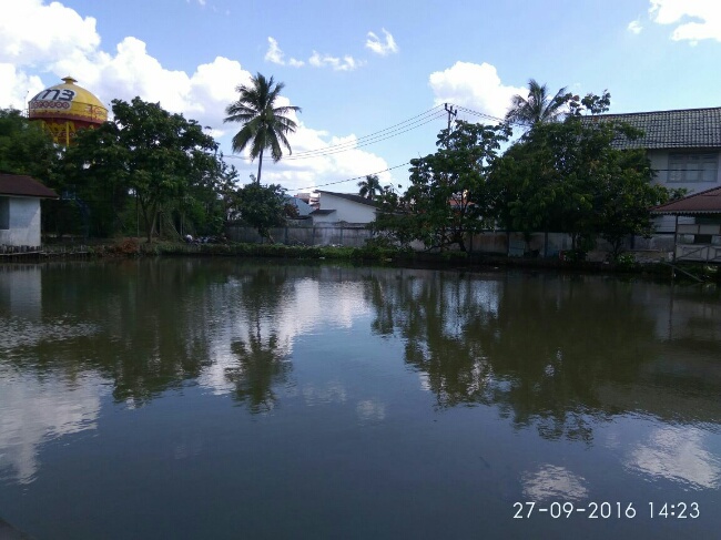 IMG 20160930 112238 888
