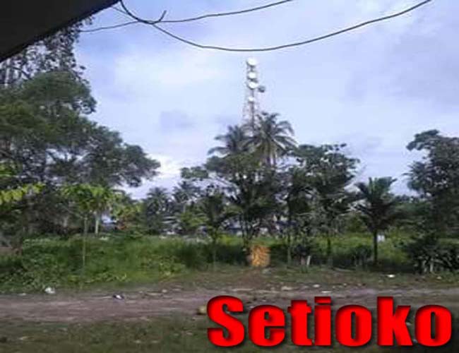 Desa Selat Remis Teluk Pakedai Kalimantan Barat