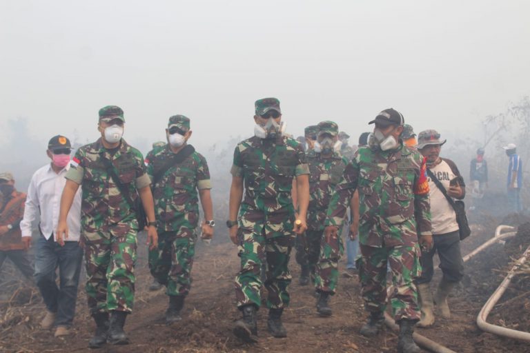Pangdam Tanjungpura Kebakaran hutan lahan
