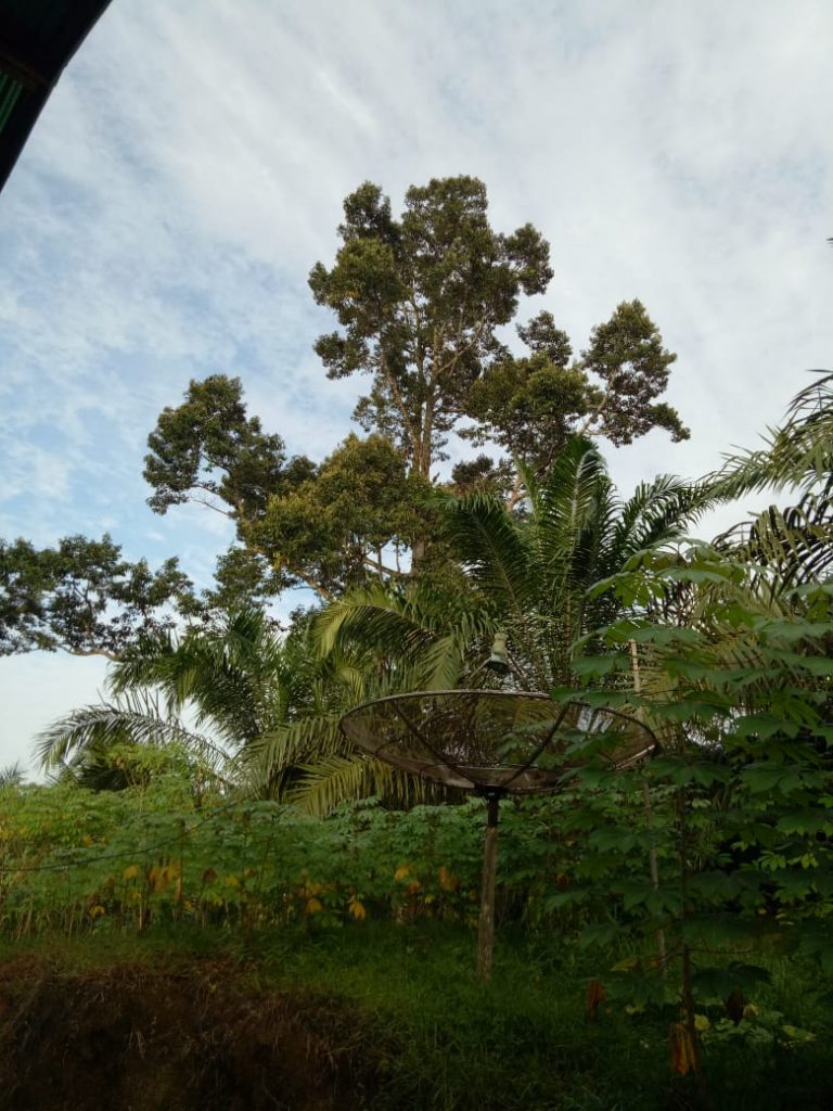 IMG 20200804 WA0009