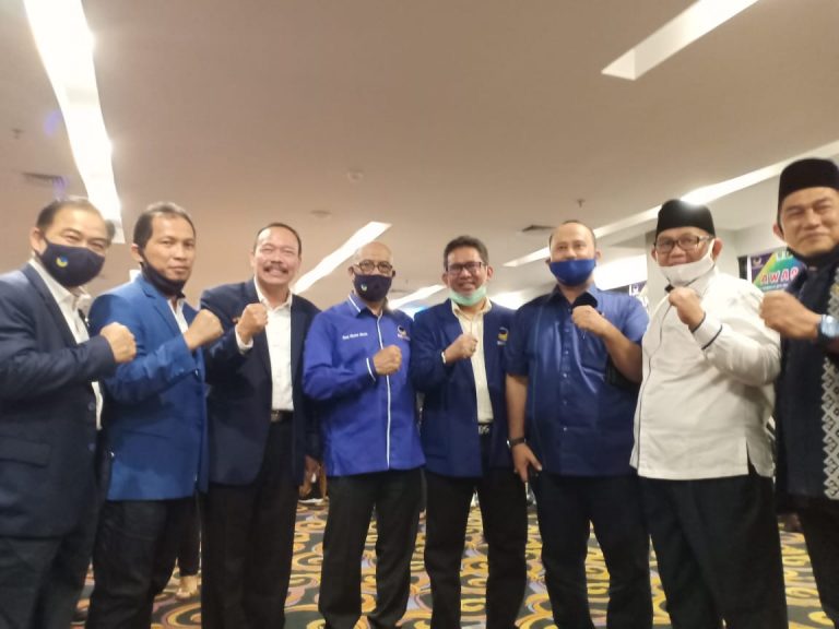 dpw nasdem