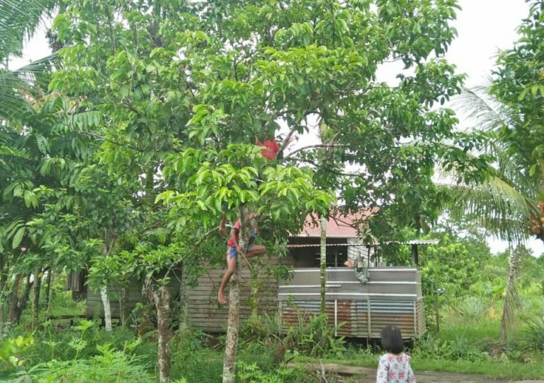 IMG 20200914 090959 012