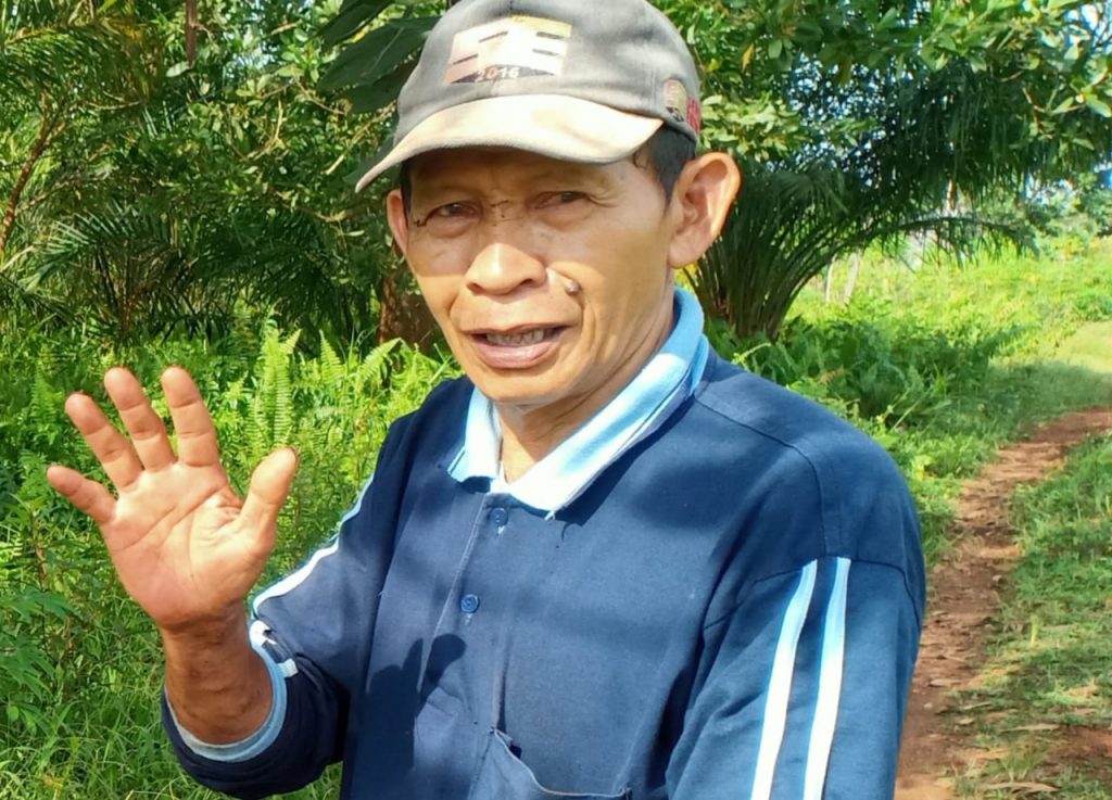 ismail gadok