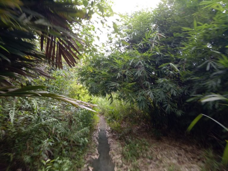 jalan setapak