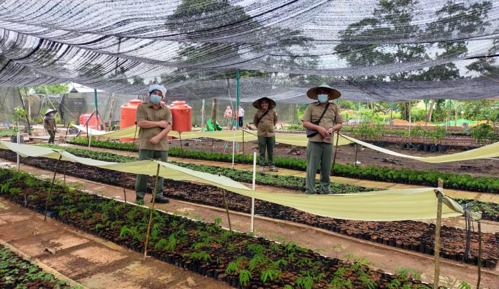 Irjen KLHK BPDAS Kapuas