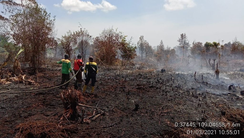 bakar saja 1