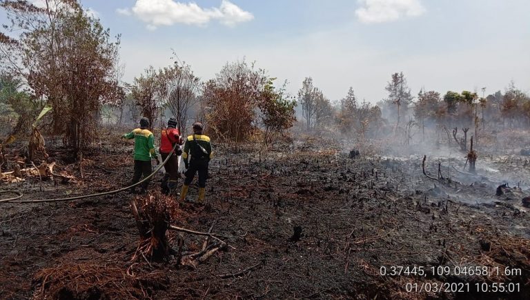 bakar saja 1