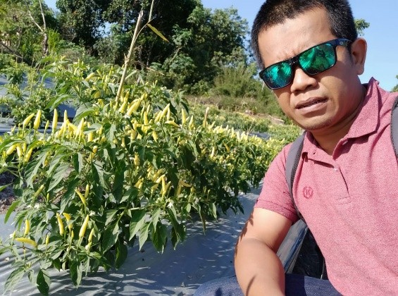 pemanfaatan lahan peti.2