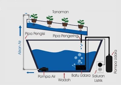 sistem hydroponik