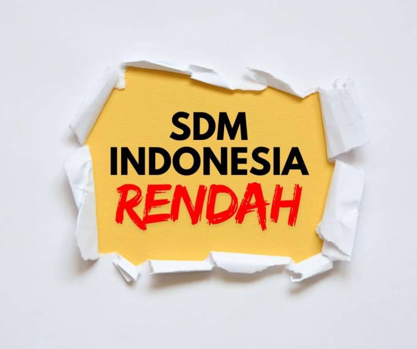 SDM INDONESIA