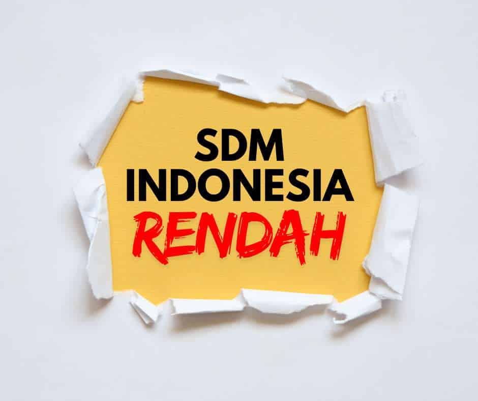 SDM INDONESIA