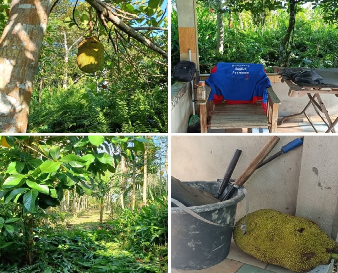 Kebun Pantun