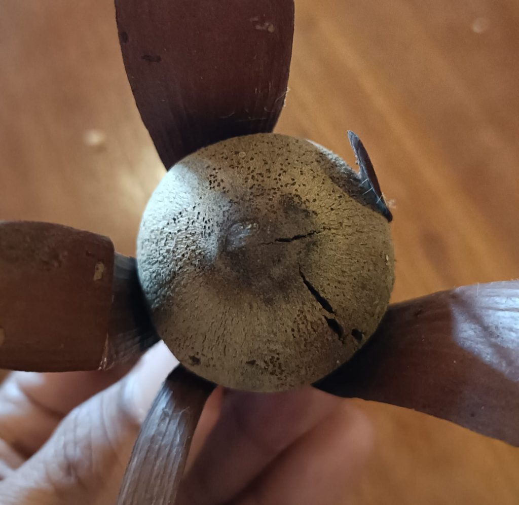 Lebaran Tengkawang Hingga Sidney dan Timor Leste Dibalut Sastra Lisan.3