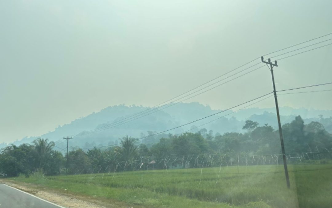 MHH PWM Kalbar Nyatakan Sikap tentang Karhutla