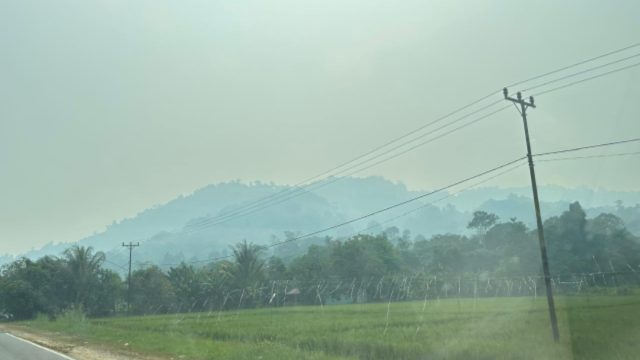 MHH PWM Kalbar Nyatakan Sikap tentang Karhutla